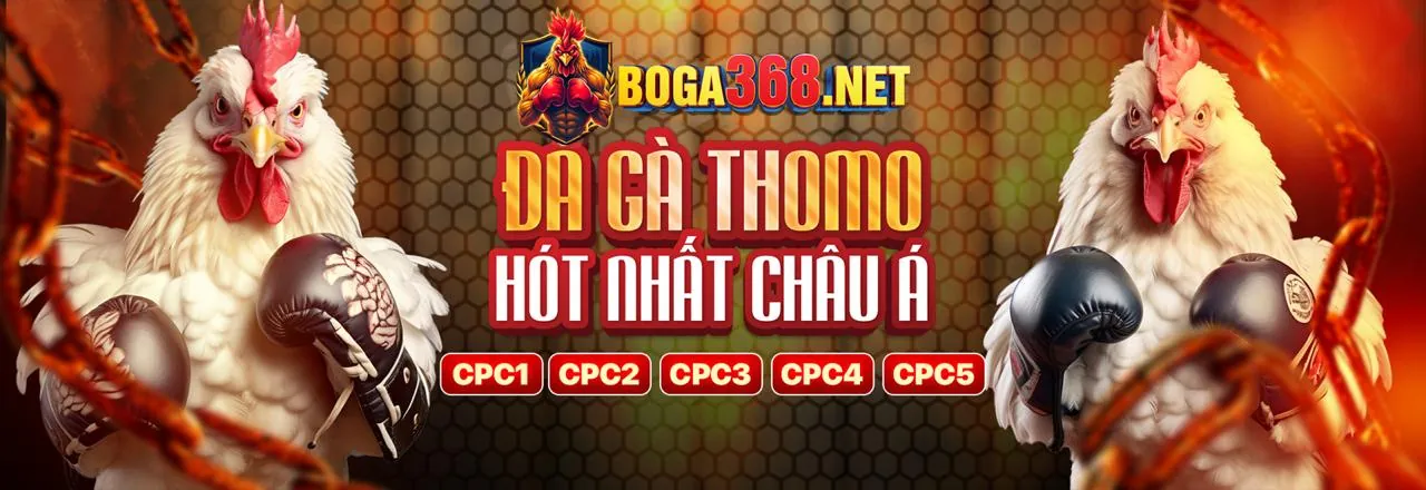 Đá Gà Trực Tuyến mibet win 2026 - Trải nghiệm cá cược đỉnh cao