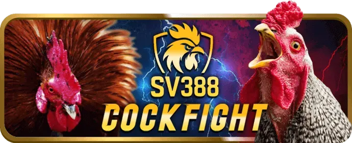 Đa dạng trò chơi cá cược Mibet Win